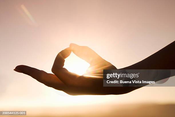 Sunshine Hand 3,074 Hand Silhouette Sun Stock Photos, High-Res Pictures, and Images ...