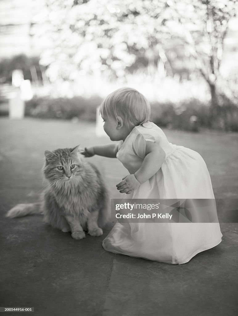 Female toddler (12-15 months) petting long-haired cat (B&W)