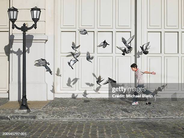 boy (11-13) chasing pigeons in street - pigeon stock-fotos und bilder