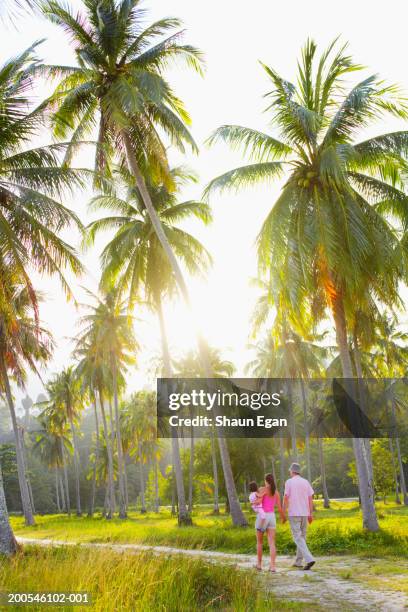 malaysia, pulau langkawi. couple and girl(6-8) walking through park - langkawi stock-fotos und bilder