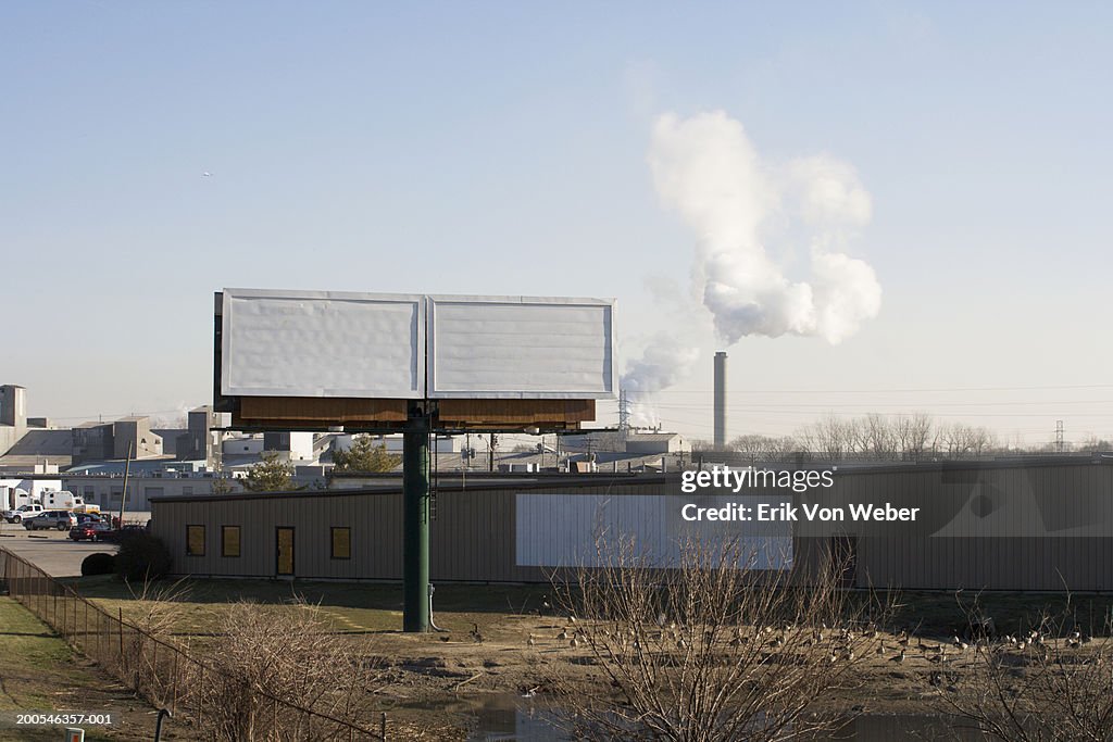 Blank white billboards by roadside above flock of geese