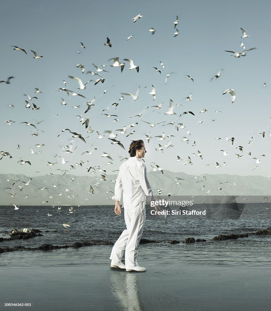 Young man walking on shore amongst flocks of birds (Digital Composite)