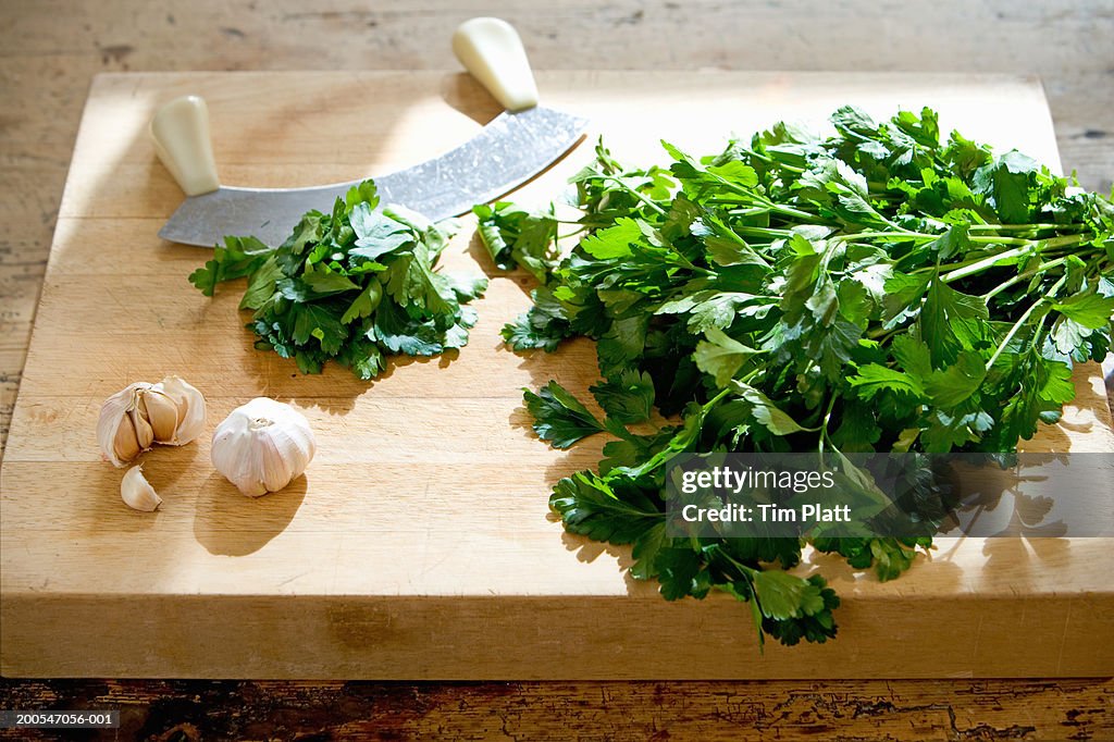 Fresh Coriander And Garlic On Chopping Board With Mezzaluna Chopper Closeup  Elevated View High-Res Stock Photo - Getty Images
