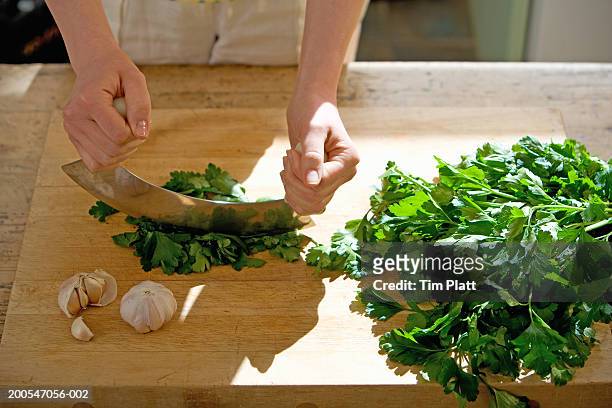 woman chopping coriander and garlic with mezzaluna, mid section, close-up - mincing knife stock pictures, royalty-free photos & images