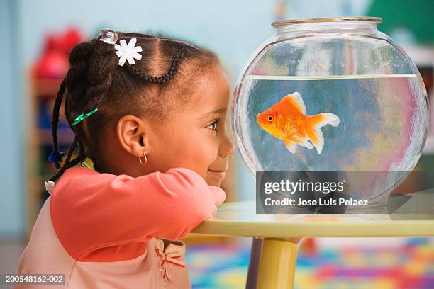 schoolgirl (4-5) looking at goldfish, smiling, side view - gold fish stock pictures, royalty-free photos & images