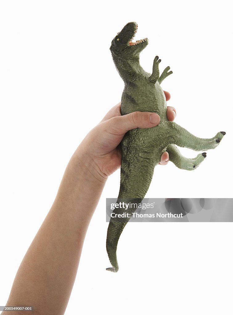 Boy (5-7) holding toy dinosaur, close-up of hand