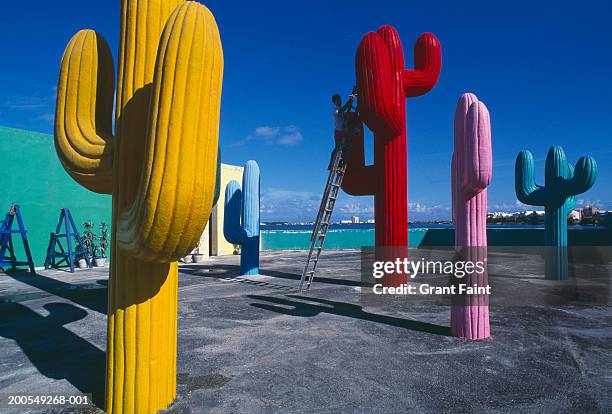 mexico, cancun, man painting concrete cacti - メキシコ　サボテン ストックフォトと画像