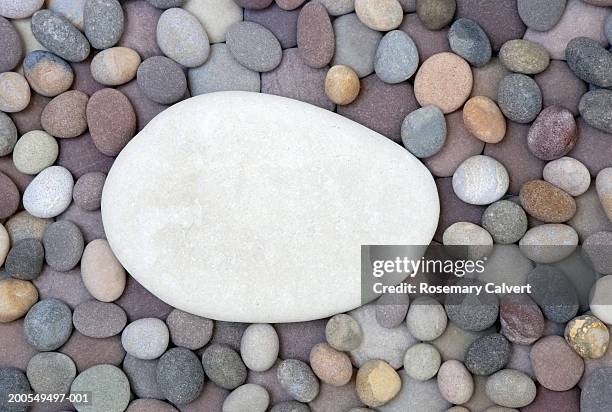 pebbles on beach, one white, close-up, overhead view - pebbles stock pictures, royalty-free photos & images