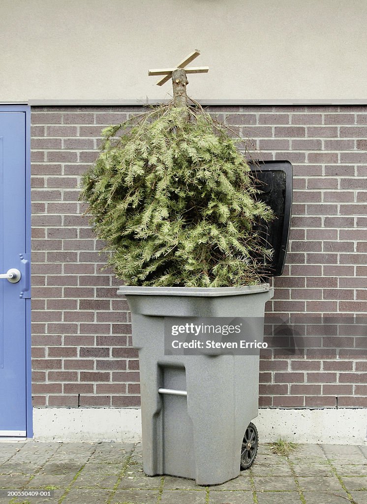 Christmas tree upside down in garbage can
