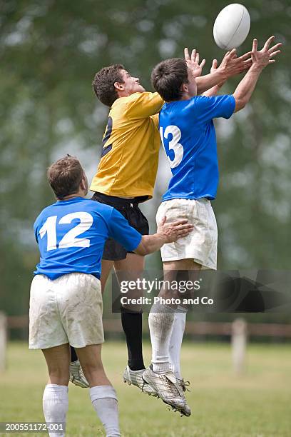 Leaping Trys Rugby 480 Rugby Player Leaping Up To Catch Ball Stock Photos, High-Res ...