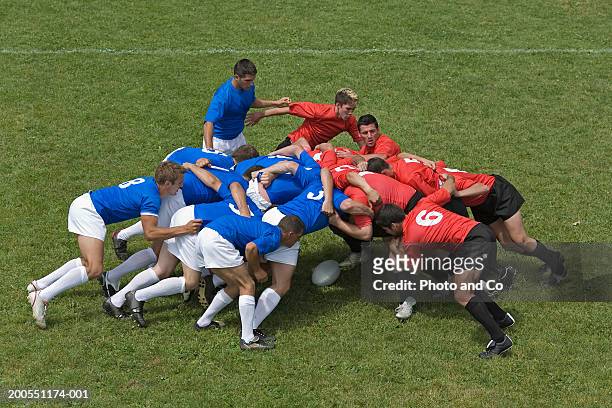 rugby players forming scrum on field, elevated view - rugby bildbanksfoton och bilder