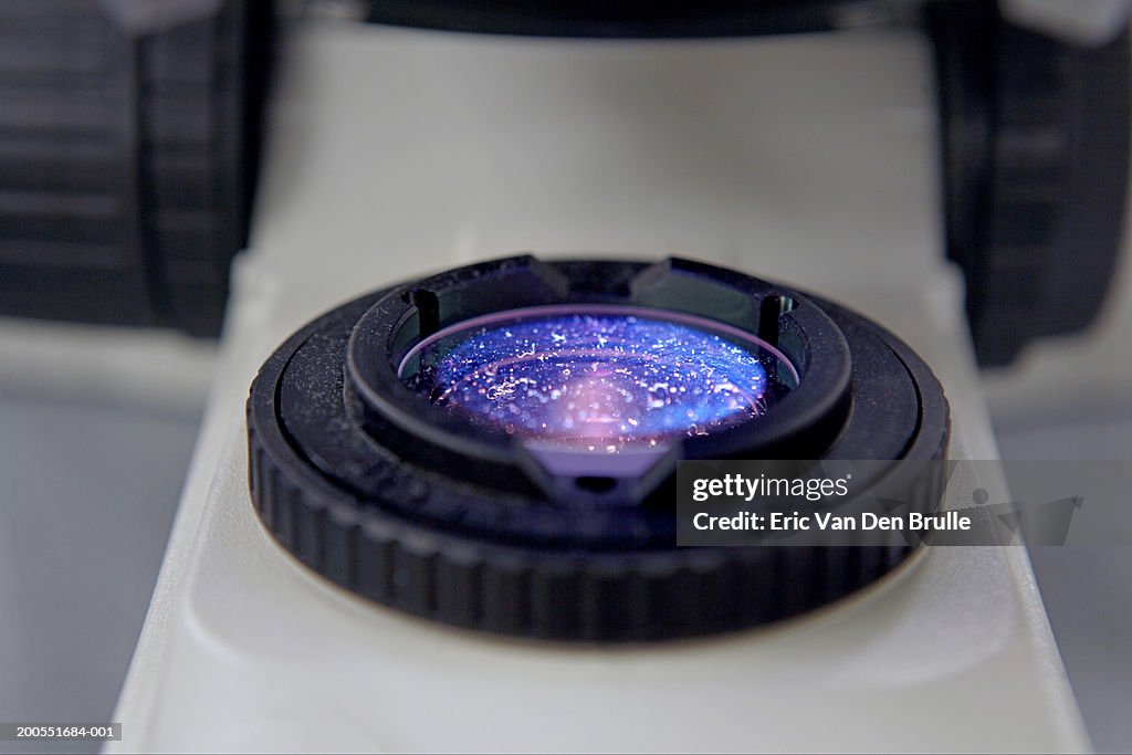 Microscope lens, close-up