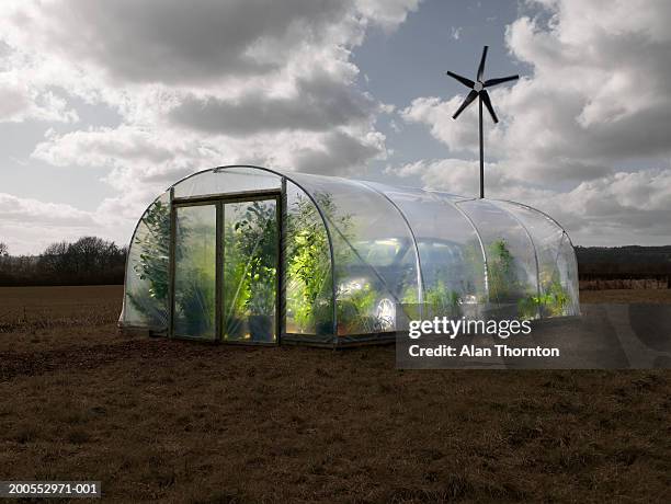 car inside greenhouse - invernadero fotografías e imágenes de stock