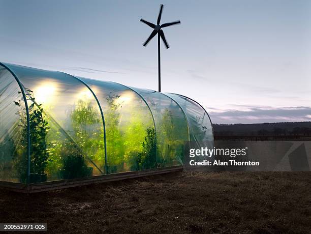 windmill by greenhouse - greenhouse imagens e fotografias de stock