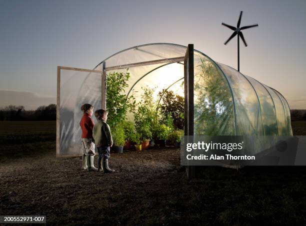 two boys (4-7) looking inside greenhouse - greenhouse foto e immagini stock