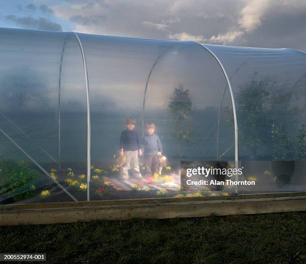 boys (4-7) holding hands and standing inside poly tunnel - survival blanket stock pictures, royalty-free photos & images