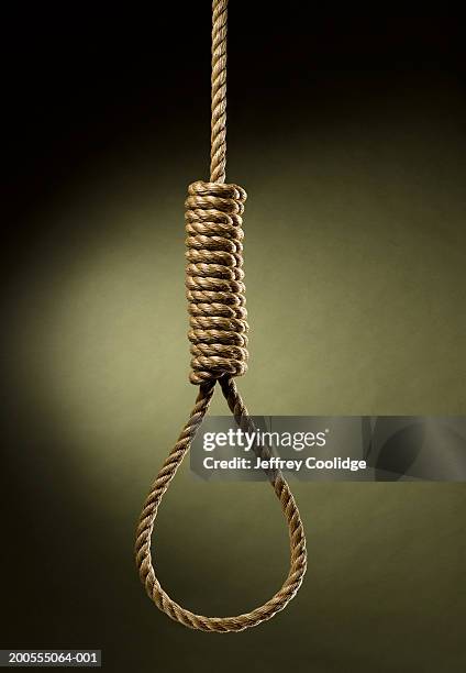 rope noose hanging - noeud coulant photos et images de collection