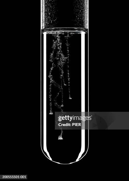 bubble rising in test tube, close-up - 試験管 ストックフォトと画像