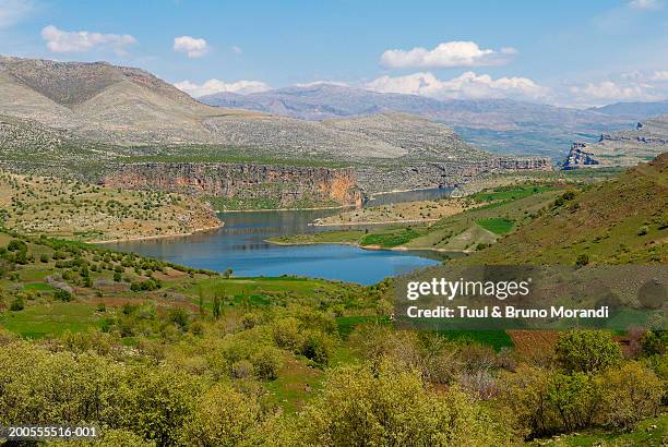 euphrates river, elevated view - euphrates river stock-fotos und bilder