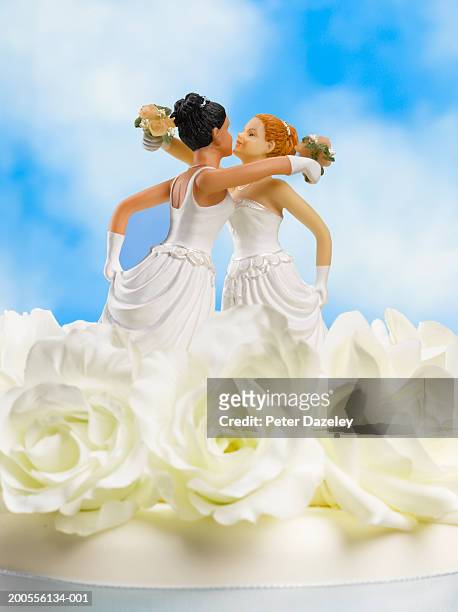 two female bride figurines on top of wedding cake, close up - wedding cake figurine photos et images de collection