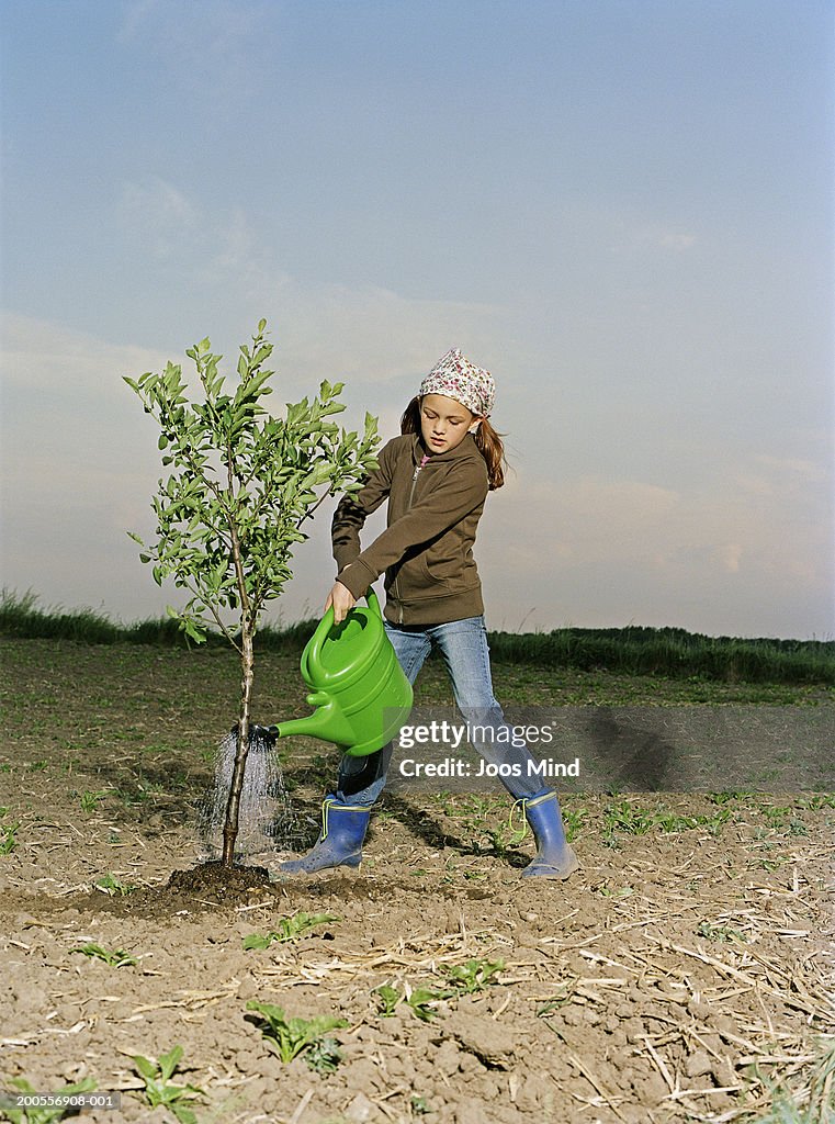 Girl (8-9) watering sapling on field