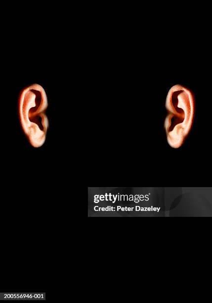 two human ears on black background - i am listening stock pictures, royalty-free photos & images