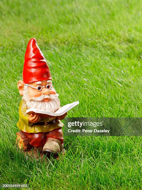 garden gnome reading book on grass - gnomo da giardino foto e immagini stock
