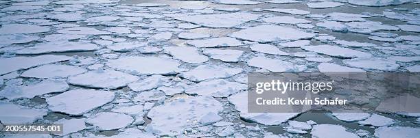 ice floating in ross sea - pack ice stockfoto's en -beelden