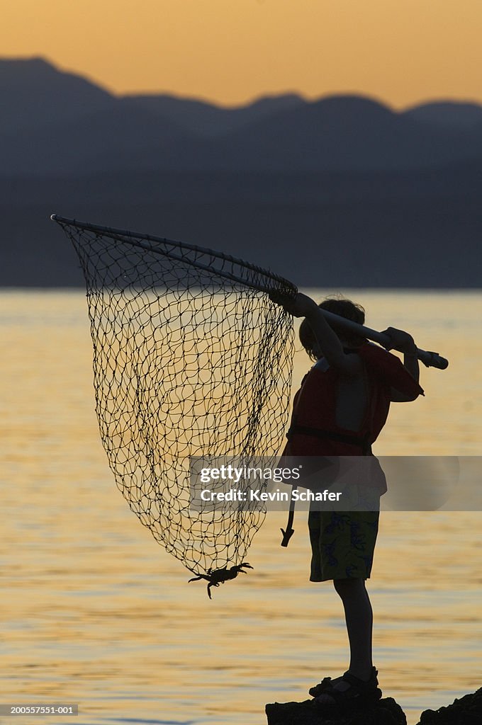 Silhouette Of Boy Catching Crab In Fishing Net High-Res Stock Photo - Getty  Images