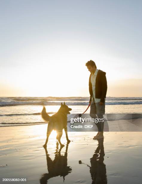 man on beach with dog at sunset, holding ball thrower - dog and ball stock-fotos und bilder