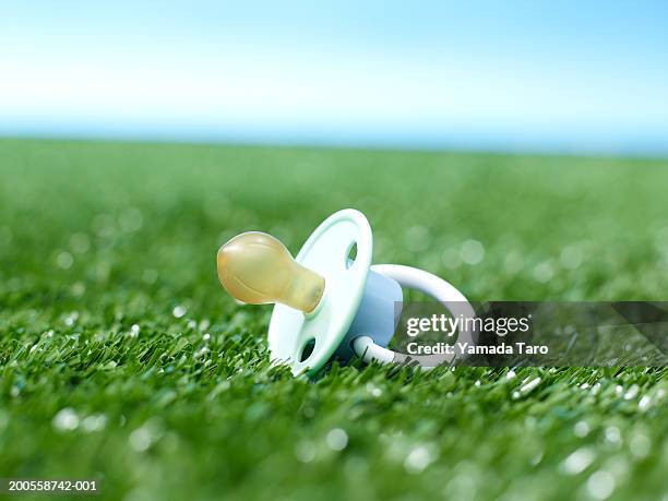Weed Pacifier Pacifier Ground Photos et images de collection - Getty Images