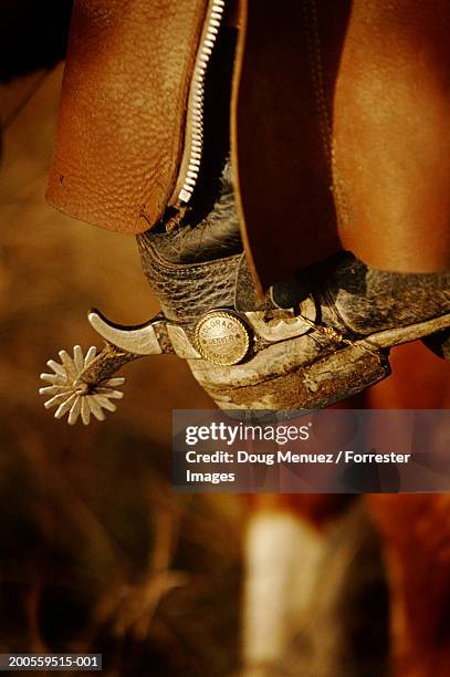Man With Cowboy Boots Riding Horse Closeup, Foto de stock