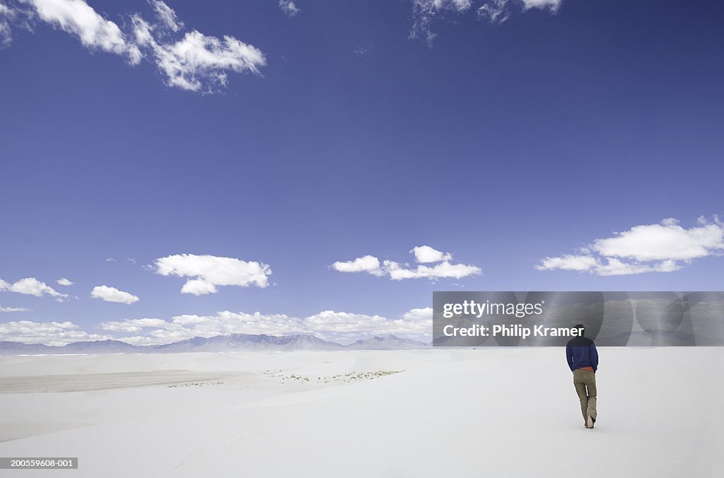 Man walking into desert