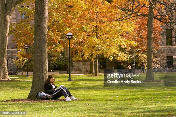young female student sitting under tree on campus - campus universidad fotografías e imágenes de stock