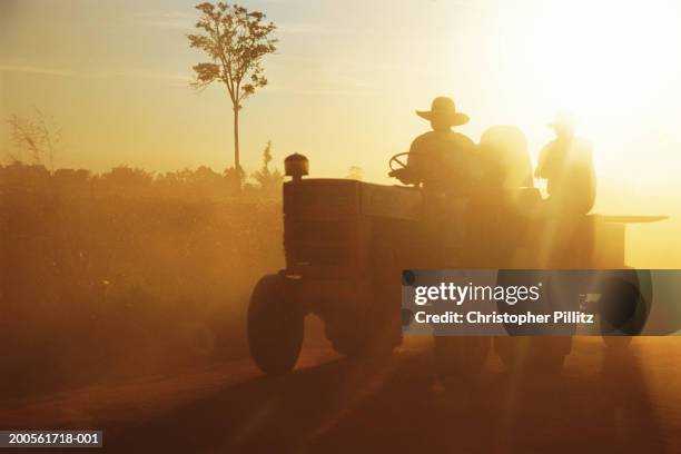 Paraguay,Rio Verde,Mennonite territory,tractor in field in setting sun.