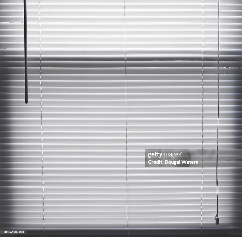 Blinds on window