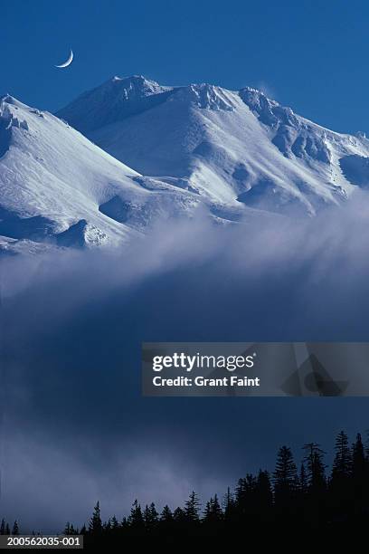 usa, california, mt shasta california in morning mist - mt shasta fotografías e imágenes de stock