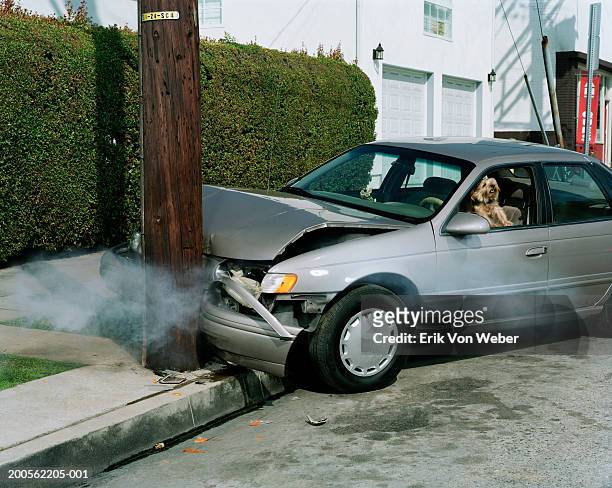 car crash against telephone pole by road - car accident stock-fotos und bilder