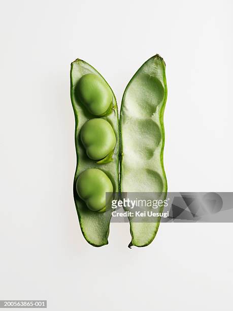broad bean against white background, close-up - bean stock-fotos und bilder