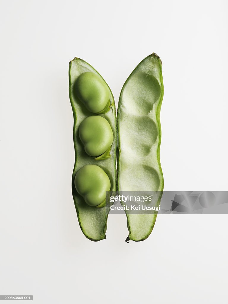 Broad bean against white background, close-up