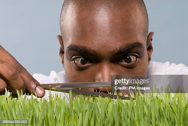 man cutting wheatgrass with scissor, close-up - obsession photos et images de collection