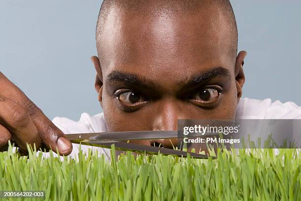 man cutting wheatgrass with scissor, close-up - obsessive stockfoto's en -beelden