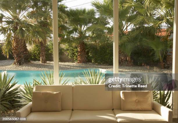 721 Inside Window Palm Tree Stock Photos, High-Res Pictures, and Images ...