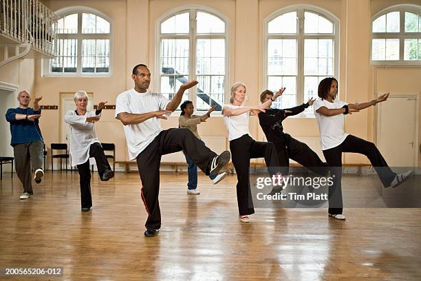 group of mature and senior people practicing tai chi - woman and tai chi stock pictures, royalty-free photos & images