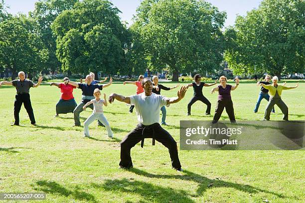 group of people including young girl (8-9) practicing tai chi in park - tai chi stockfoto's en -beelden