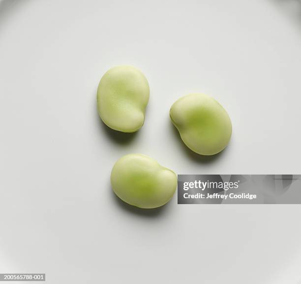 three fava beans on plate, close-up - fava bean stock pictures, royalty-free photos & images