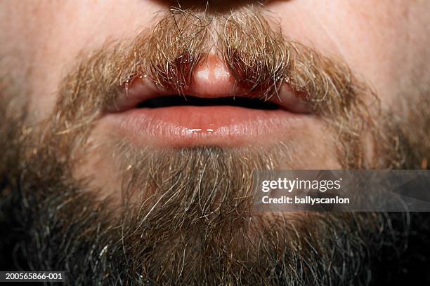 red wine on bearded mans lips, close-up - damp lips stock-fotos und bilder