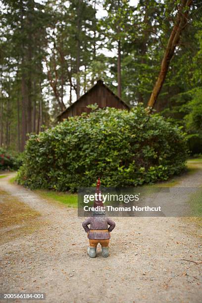 garden gnome on garden path, rear view - garden gnome stock pictures, royalty-free photos & images