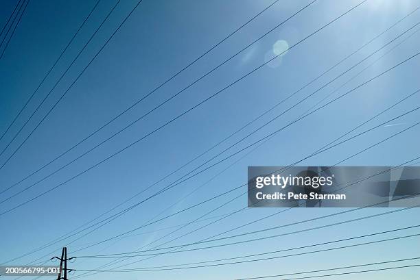 power lines against sky, low angle view (lens flare) - telephone line stock pictures, royalty-free photos & images