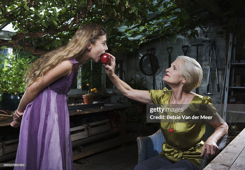 Girl (10-11) biting red apple offered by senior woman